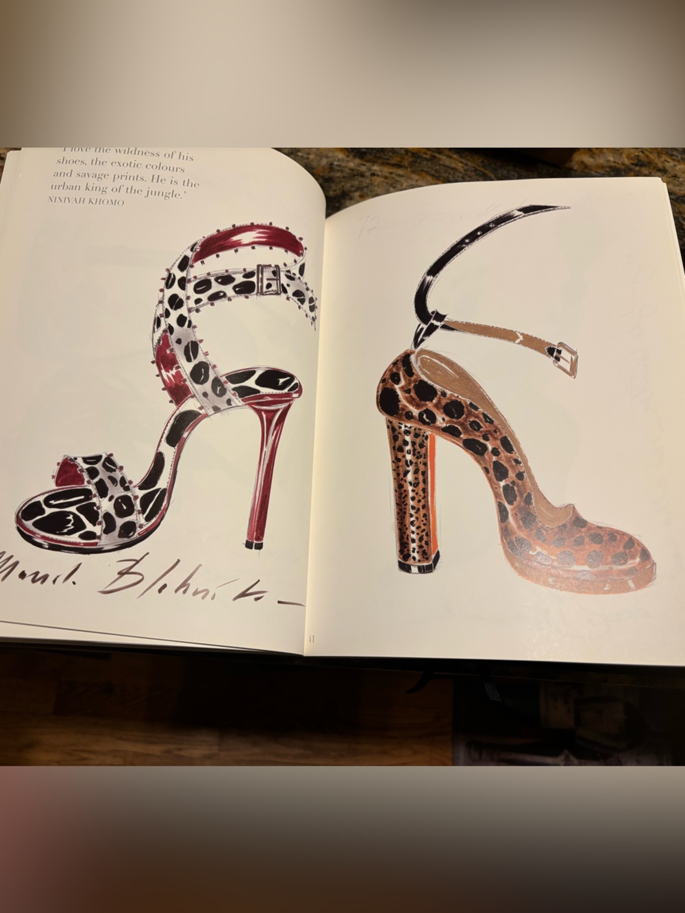 CHANEL Catwalk and Manolo Blahnik The Drawings - Picture 9 of 11